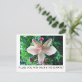 サンキューカード ポストカード (スタンド正面)