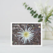 サンキューカード ポストカード (スタンド正面)