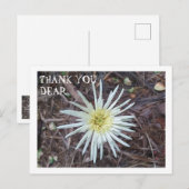 サンキューカード ポストカード (正面/裏面)