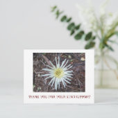 サンキューカード ポストカード (スタンド正面)