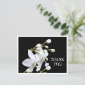 サンキューカード ポストカード (スタンド正面)