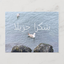 サンキューカード ポストカード