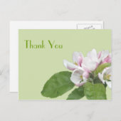 サンキューカード、リンゴの花 ポストカード (正面/裏面)