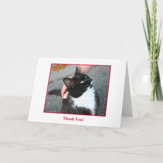 サンキューカード、中ブランク サンキューカード (正面)