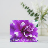 サンキューカード(Dahlia Background) ポストカード (スタンド正面)