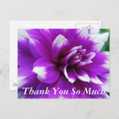 サンキューカード(Dahlia Background) ポストカード (正面/裏面)