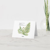 サンキューグリーンフロッグファーン自然ガーデンウォーターカラー サンキューカード (裏面)