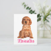 サンキューコッカースパニエル犬子犬はがき ポストカード (スタンド正面)