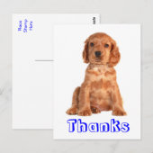 サンキューコッカースパニエル犬子犬はがき ポストカード (正面/裏面)
