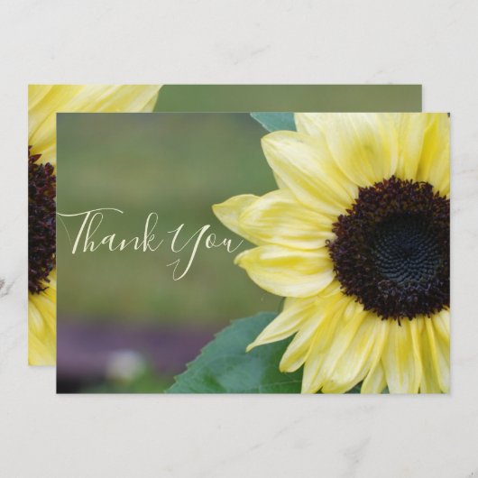 サンキューサンフラワーナース医療スタッフ医師 サンキューカード (正面/裏面)