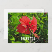 サンキュートロピカルフラワーブライトピンクフローラ ポストカード (正面/裏面)