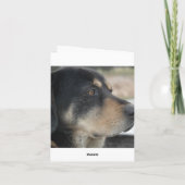 サンキュードッグ サンキューカード (裏面)