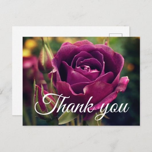 サンキューバーガンディアイスバーグバラ#1はがき ポストカード (正面/裏面)