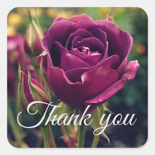 サンキューバーガンディ氷山バラ#1シール スクエアシール (正面)