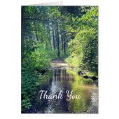 サンキューフォレストレイクウィルダネス平和なシーン (正面)