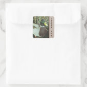 サンキューマラードアヒルの写真自然鳥 スクエアシール (バッグ)