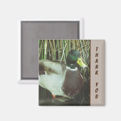 サンキューマラードアヒル写真自然レイクバード マグネット (正面/裏面)