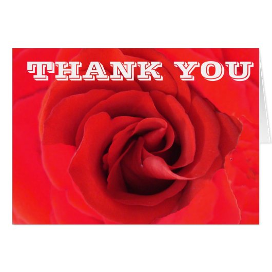 サンキューレッドローズフラワー接写フォトフローラ (正面横)