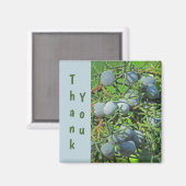 サンキュー春パインベリー写真鑑賞 マグネット (正面/裏面)