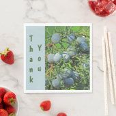 サンキュー春Pine Berry写真鑑賞 スタンダードランチョンナプキン (インサイチュ)