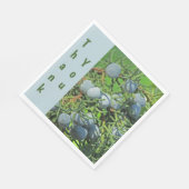 サンキュー春Pine Berry写真鑑賞 スタンダードランチョンナプキン (角)