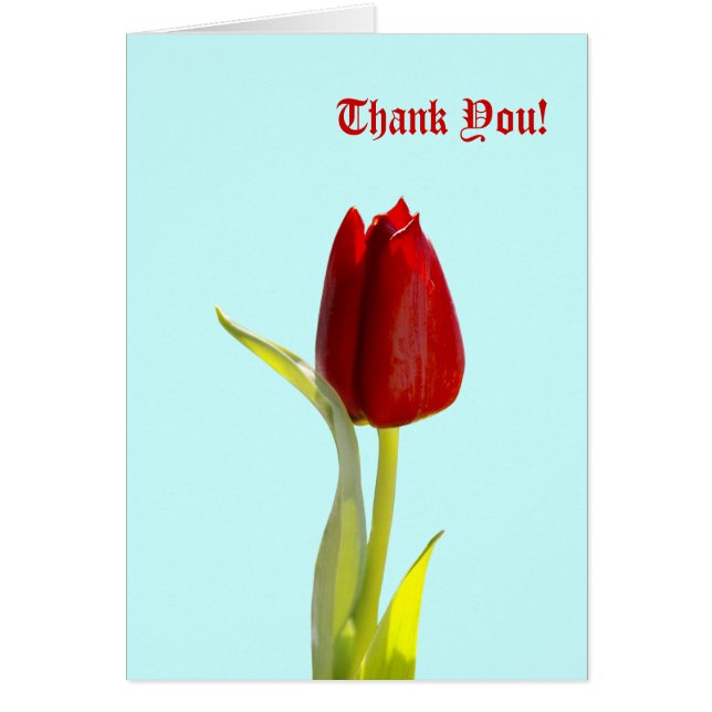 サンキュー!カード (正面)