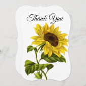 サンキュー サンフラワー (正面/裏面)