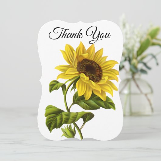 サンキュー サンフラワー (スタンド正面)