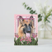 サンキュー – ドイツの羊飼い – チャンス ポストカード (スタンド正面)