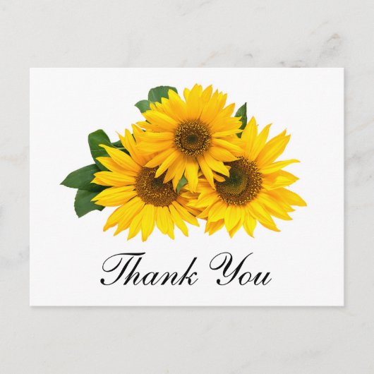 サンキュー　ヒマワリ　フラワリー　グリーティング　ポストカード ポストカード (正面)