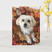 サンキュー・モーキィⅠ- ブランクカード カード (黄色い花)