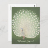 サンキュー | 日本のファインアート | 孔雀はがき ポストカード (正面/裏面)