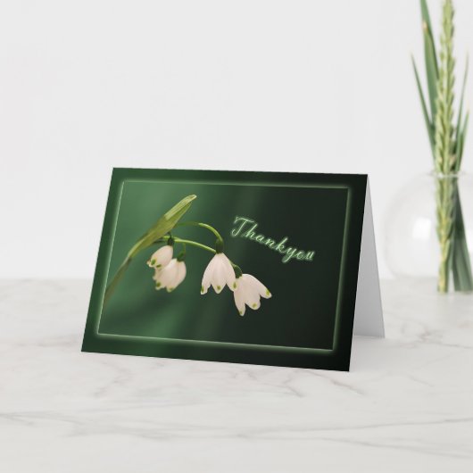 サンキュー – 雪 (正面)