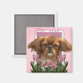サンキュー – King Charles Cavalier - Ruby マグネット (正面/裏面)