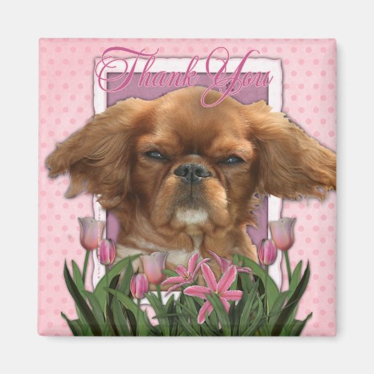 サンキュー – King Charles Cavalier - Ruby マグネット (正面)