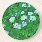 サンギネヤ コースター (正面)