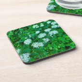 サンギネヤ コースター (左側)