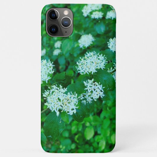 サンギネヤ Case-Mate iPhoneケース (裏面)