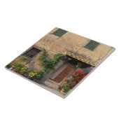 サンギミニャノに花の咲く美しい古い家 タイル (側面)