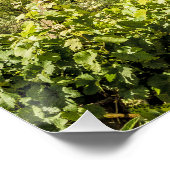 サンギミニャーナトスカーニイタリアパノラマサンダインメント ポスター (コーナー)