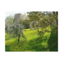 サンギミニャーノの外壁