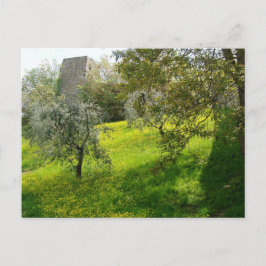 サンギミニャーノの外壁 ポストカード