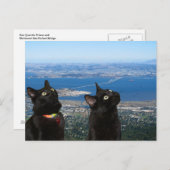 サンクエンティン刑務所はがきの黒猫ビュー ポストカード (正面/裏面)