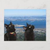 サンクエンティン刑務所はがきの黒猫ビュー ポストカード (正面)