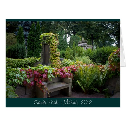 サンクトパウリイマルメCC0363ビッグ (正面横)