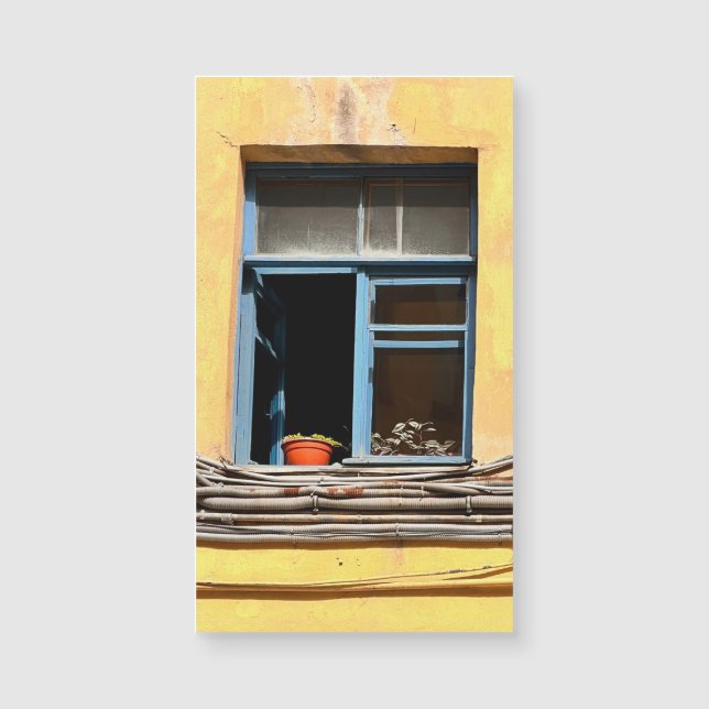 サンクトペテルブルクの窓 (正面)