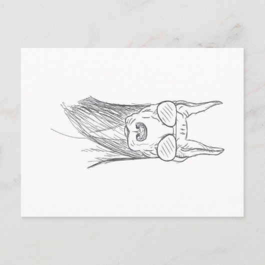 サングラスおもしろい付きドバーマン犬 シーズンポストカード (正面)