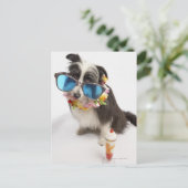 サングラスとパフェ付きの犬 ポストカード (スタンド正面)