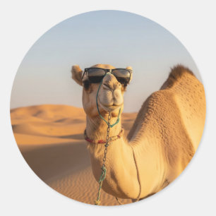 サングラスとラクダサウジアラビア旅行 ラウンドシール