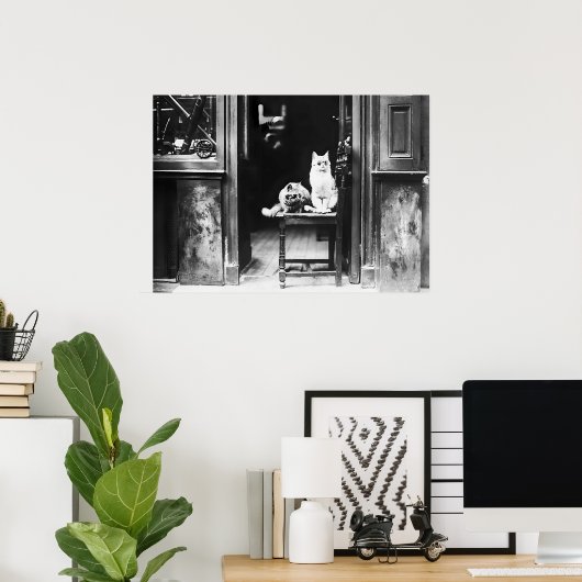 サングラスと白黒のヴィンテージを着た猫 ポスター (ホームオフィス)